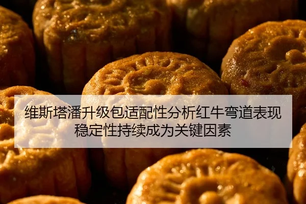 维斯塔潘升级包适配性分析红牛弯道表现稳定性持续成为关键因素