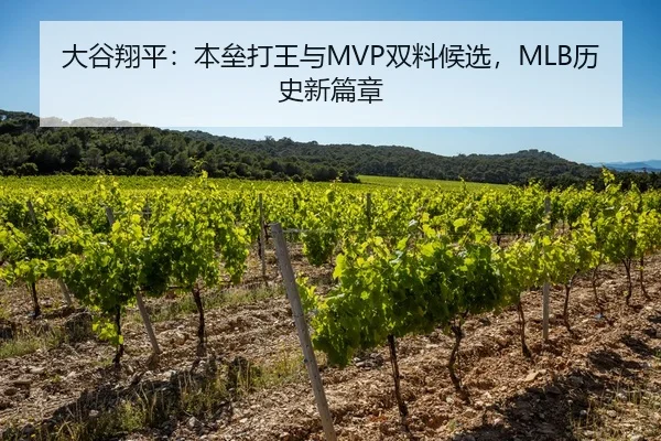 大谷翔平：本垒打王与MVP双料候选，MLB历史新篇章
