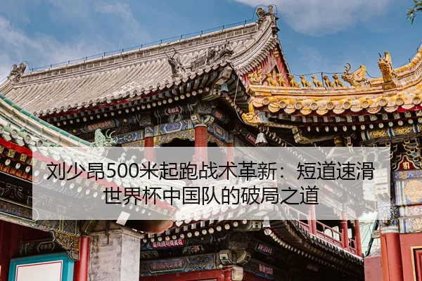 liu-shao-ang-mi-qi-pao-zhan-shu-ge-xin-duan-dao-su-hua-shi-jie-bei-zhong-guo-dui-de-po-ju-zhi-dao-2-957.jpg