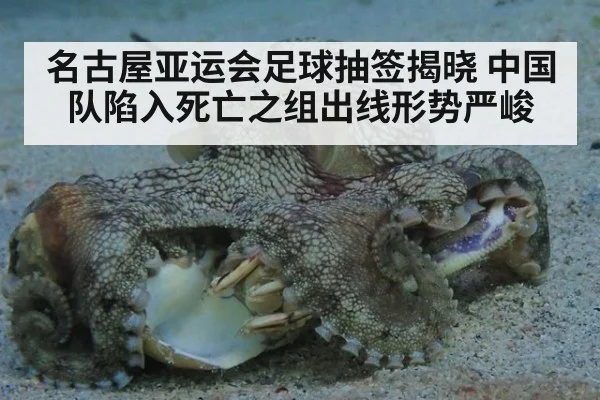 名古屋亚运会足球抽签揭晓 中国队陷入死亡之组出线形势严峻