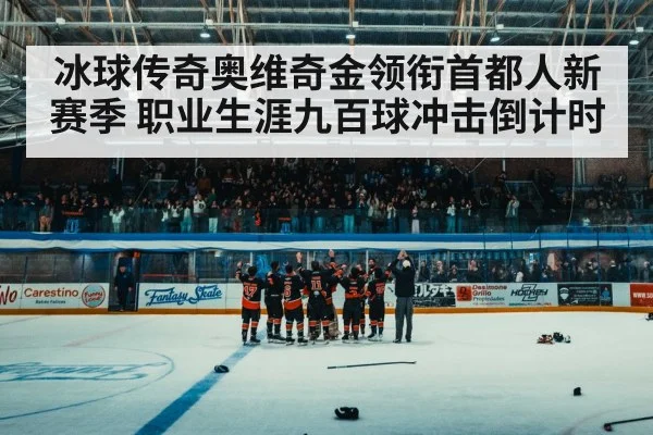 ice hockey arena crowd